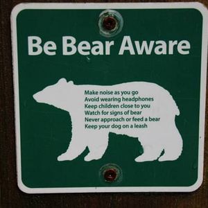 Live Auction Bear Aware Green Item. This could save your life!